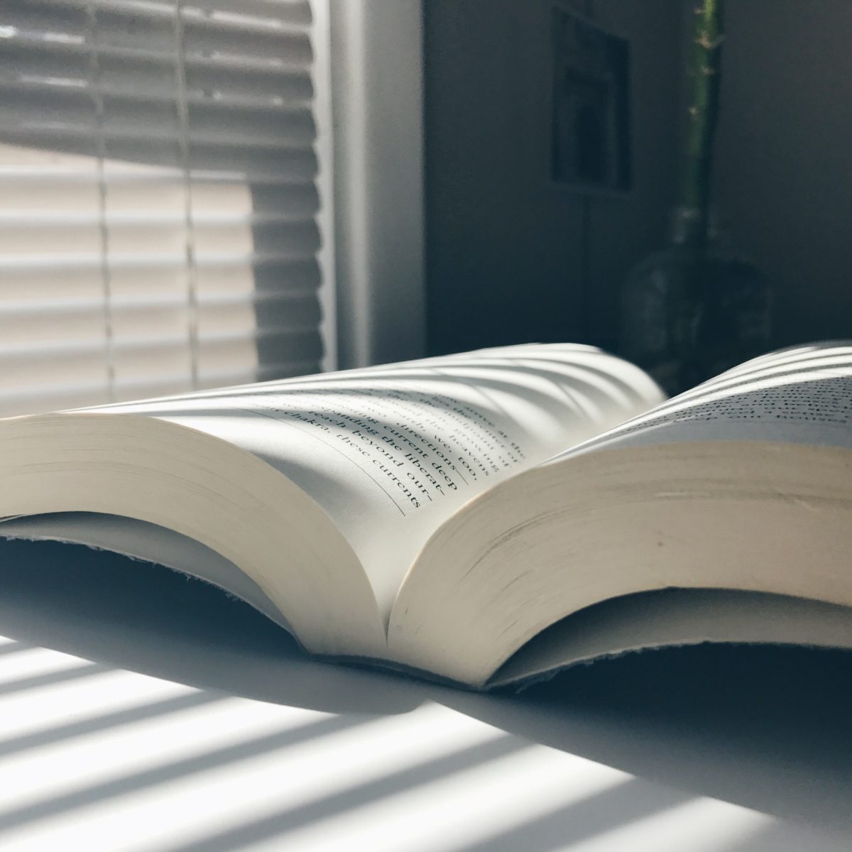 Books I’m currently into