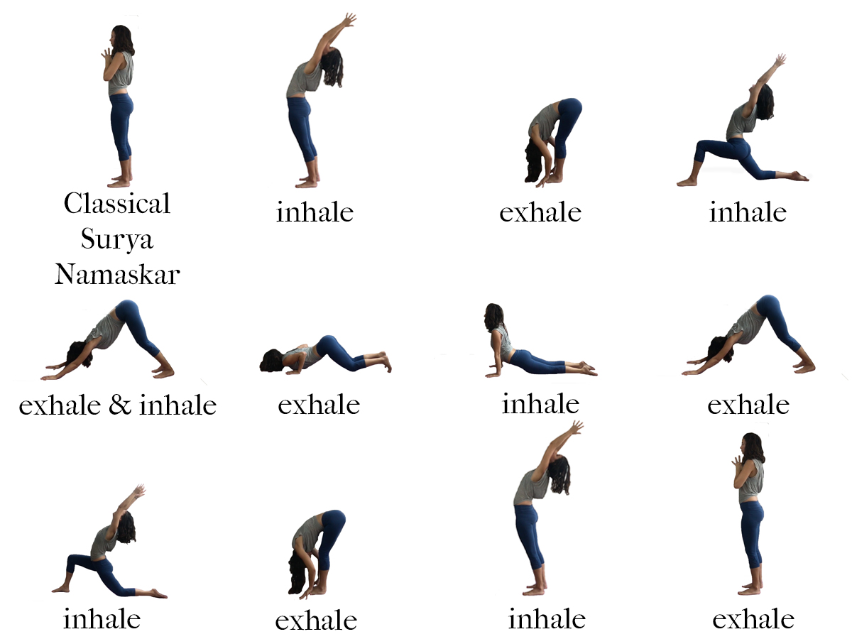 BNS Wellbeing - Surya Namaskar, aka Sun Salutation, is a traditional yoga  sequence that combines various basic asanas (poses). It is highly  recommended to practice the sequence every morning for maximum health