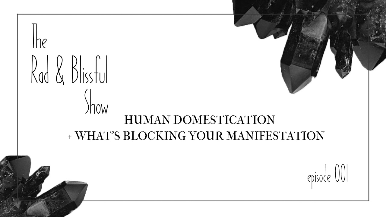 What’s Blocking Your Manifestation || THE RAD & BLISSFUL SHOW || Ep. 1